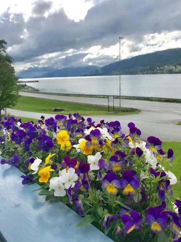 Hotel Eidsv�g Fjordhotell