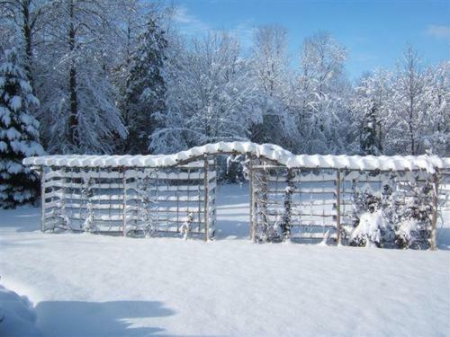 Riverwood Bed & Breakfast