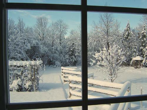 Riverwood Bed & Breakfast
