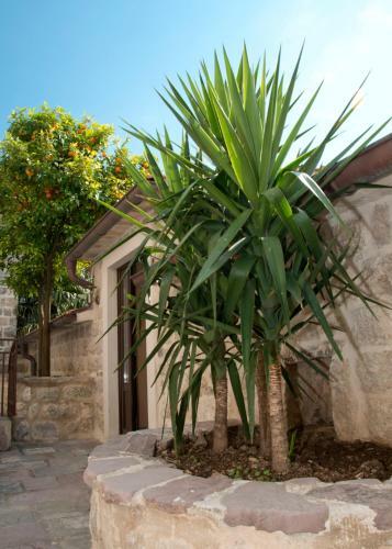 Apartments Radonicic