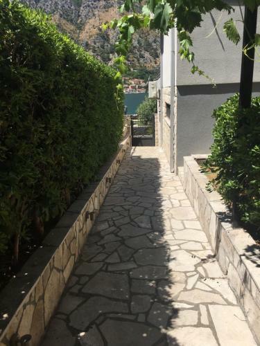 Bjelica Apartments Kotor
