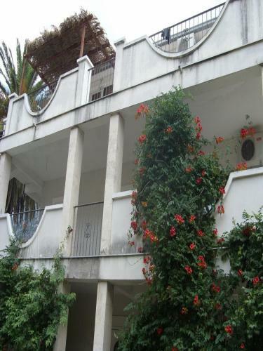 Apartments Ivani?evi?