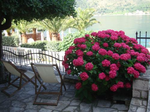 Apartamentos Villa Zvicer