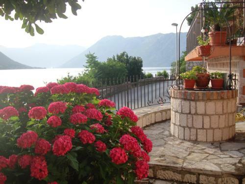Apartamentos Villa Zvicer