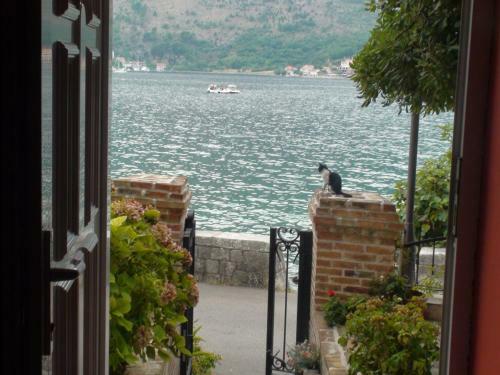 Apartamentos Villa Zvicer