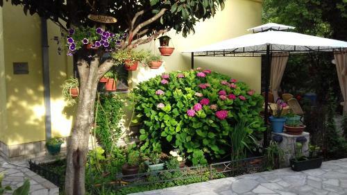 Apartments Matkovic