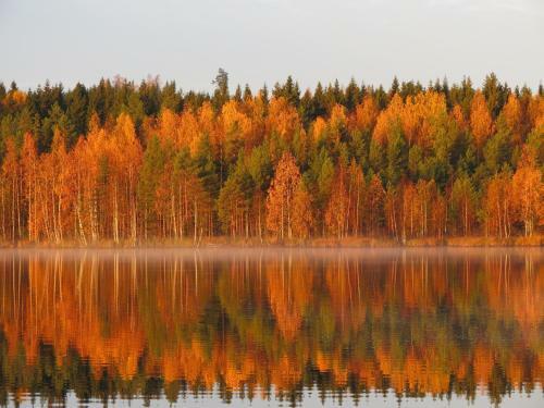 Hotel Honkiniemi