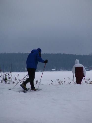 Hotel Honkiniemi