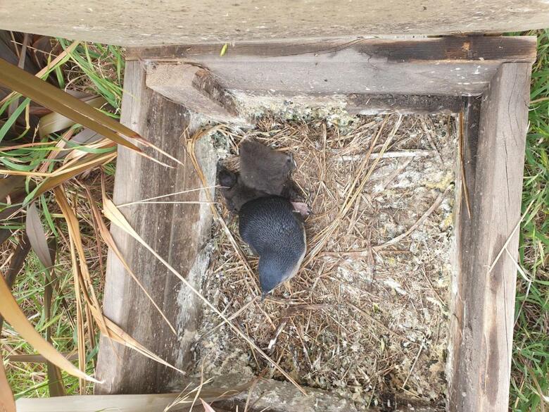 Hotel Diamond Island Resort