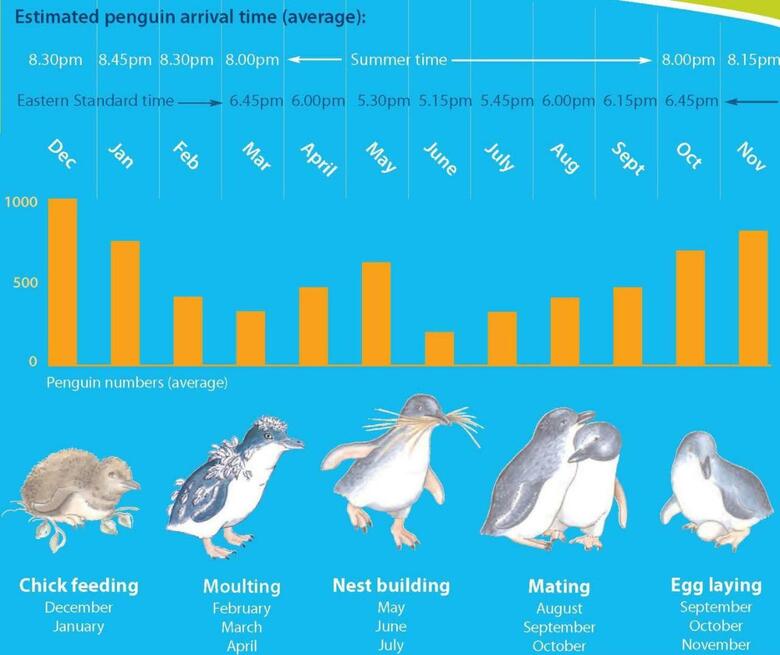 Hotel Diamond Island Resort
