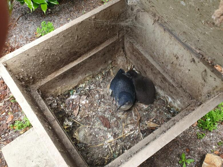 Hotel Diamond Island Resort