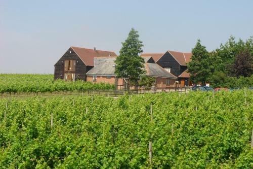 Hotel Mersea Island Vineyard