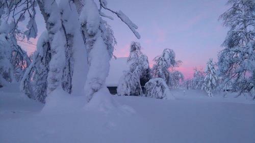 Lodge Tunturikeskus Galdotieva