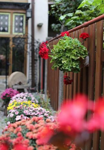Hostal Fronius Boutique Residence