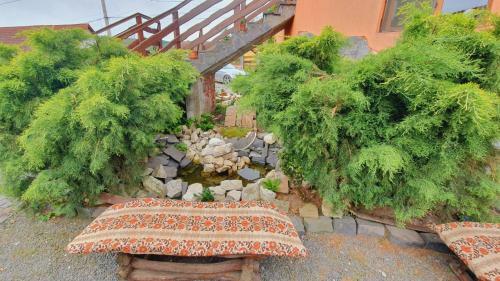 Hostal Pension Norbert