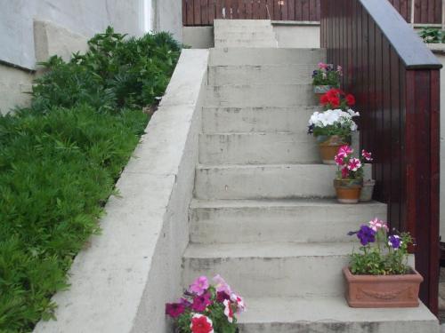 Hostal Pension Sighisoara