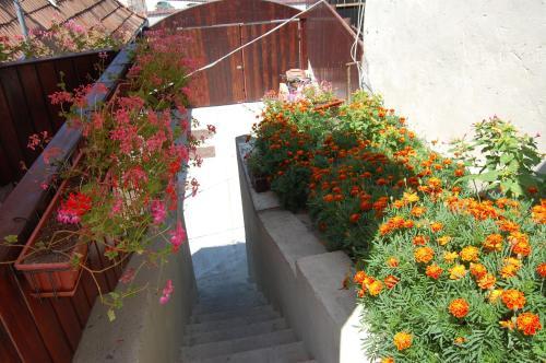 Hostal Pension Sighisoara