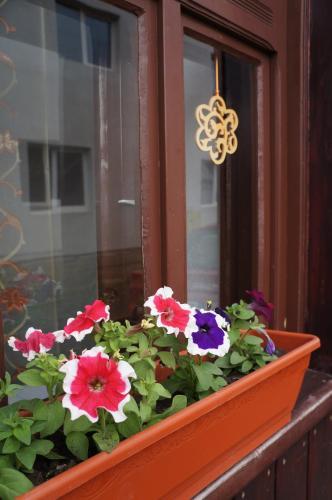 Hostal Pension Sighisoara