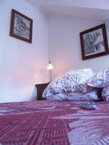 Hostal Pension Am Schneiderturm