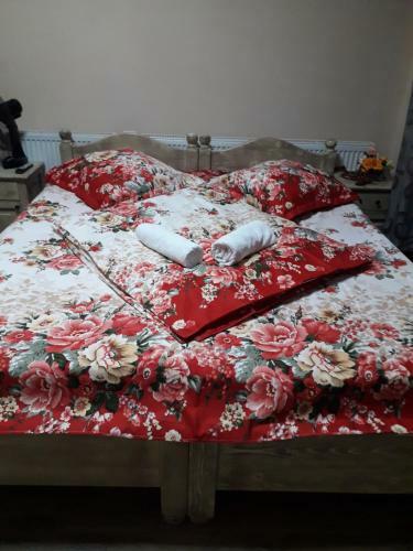 Hostal Pensiunea Baron