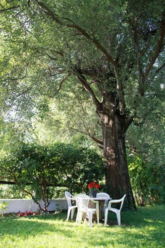 Apartamento Fasoli Studios