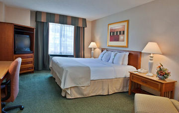 Hotel Holiday Inn Anaheim