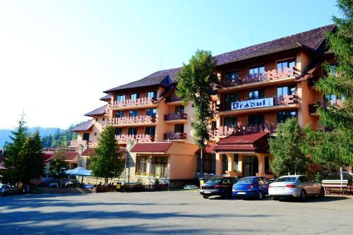 Hotel Bradul