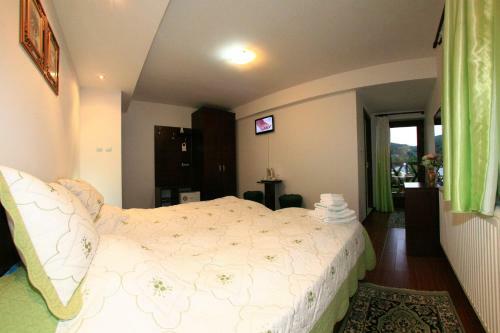 Hostal Pensiunea Elena