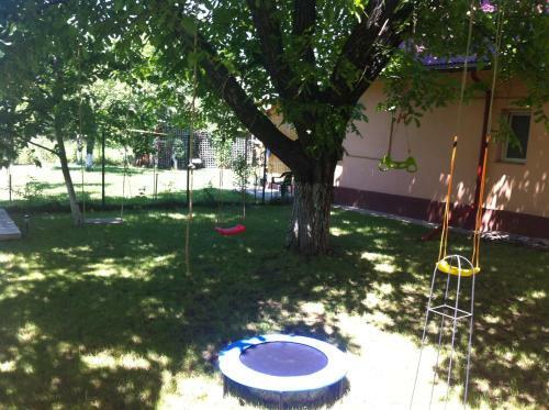 Hostal Pensiunea Elena