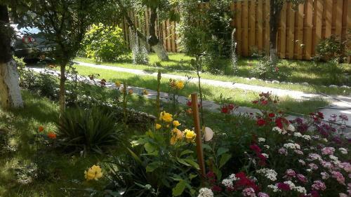 Hostal Pensiunea Elena