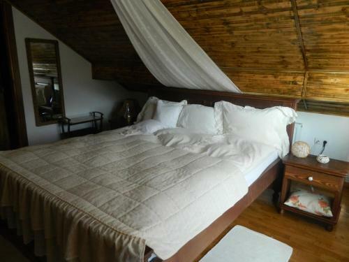 Hostal Pensiunea Romantic