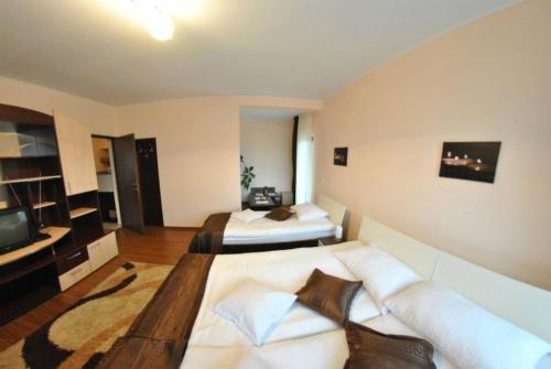 Hostal Pensiunea Queen Mary