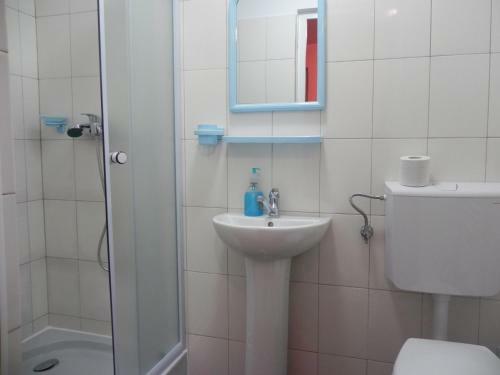 Bed & Breakfast Pension Puiu