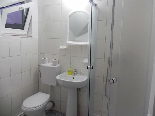 Bed & Breakfast Pension Puiu