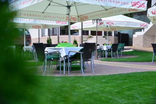 Bed & Breakfast Pensiune Restaurant Flamingo