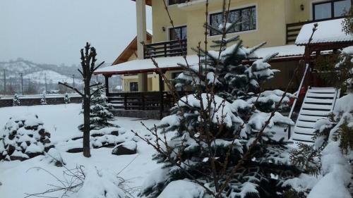 Hostal Camves Inn