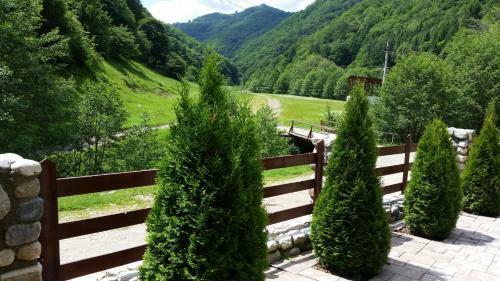 Hostal Pension Curmatura Stezii