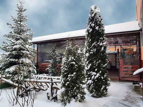 Hostal Pension Piscul Soarelui