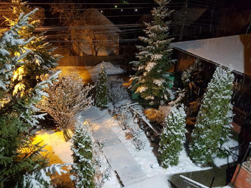 Hostal Pension Piscul Soarelui