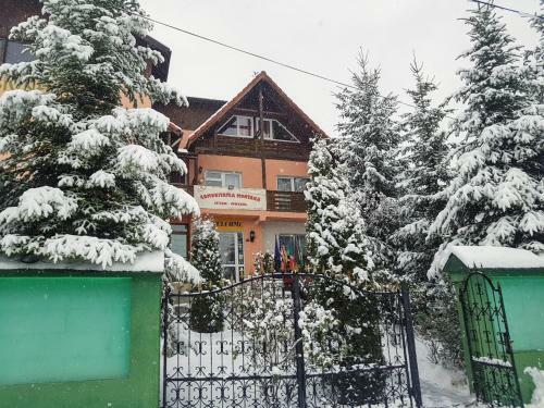 Hostal Pension Piscul Soarelui