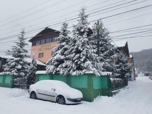 Hostal Pension Piscul Soarelui