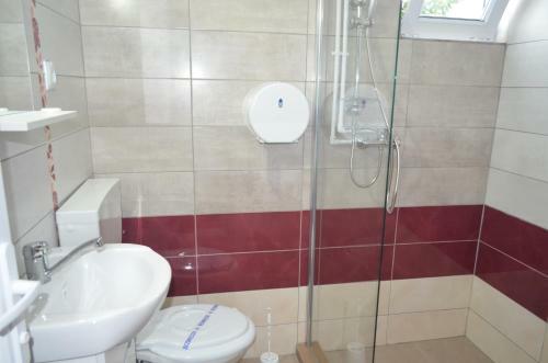Hostal Complex Minerva - Vilele Alina & Aura