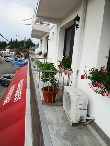 Hostal Pensiunea Mikelis International