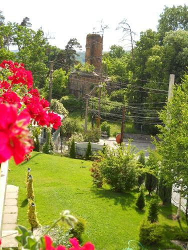 Hotel Casa Domneasca