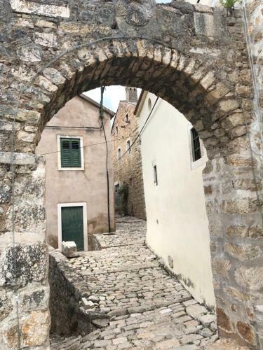 Apartment Novigrad Holiday