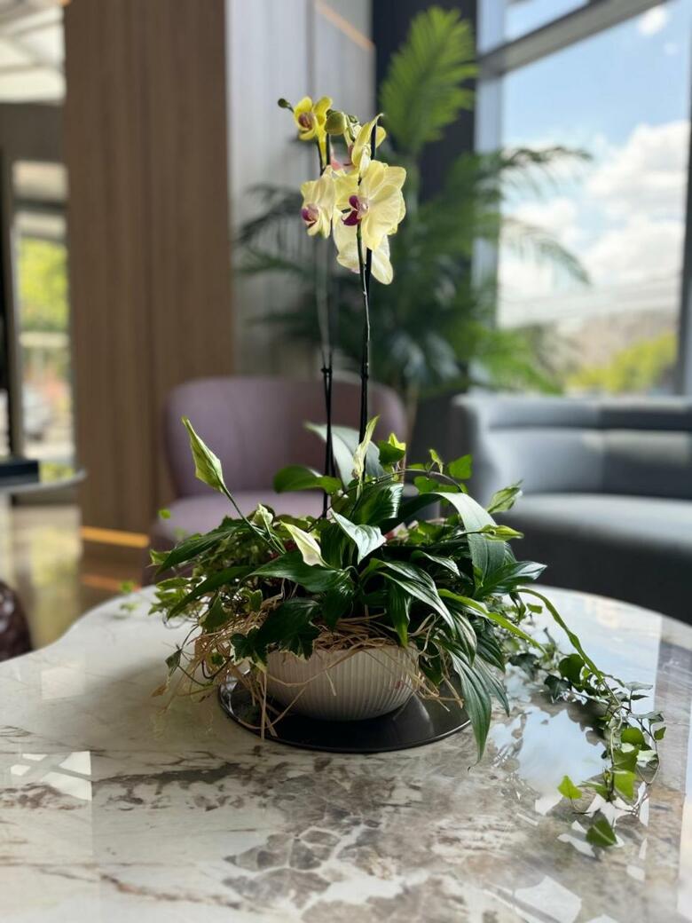 Hotel Doubletree By Hilton Bucharest