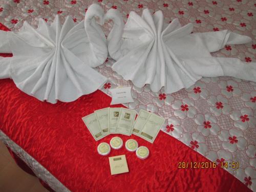 Hostal Pensiunea Select Busteni