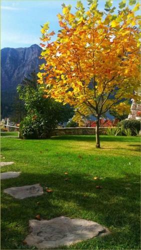 Hostal Vila Leonida