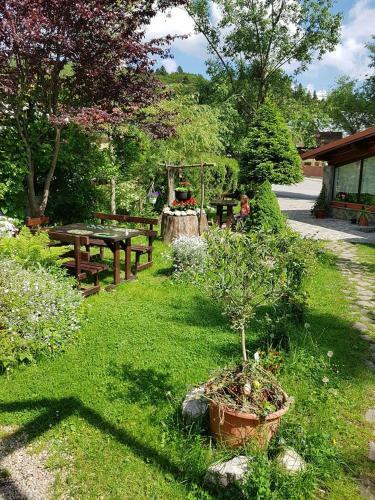 Hostal Pensiunea Liziera