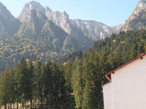 Apartamento Dream Holiday Busteni